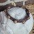 Low Tide Bracelet | 1wgbr1.jpg