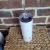 Holiday Elves Tumbler | 11t13b.jpg