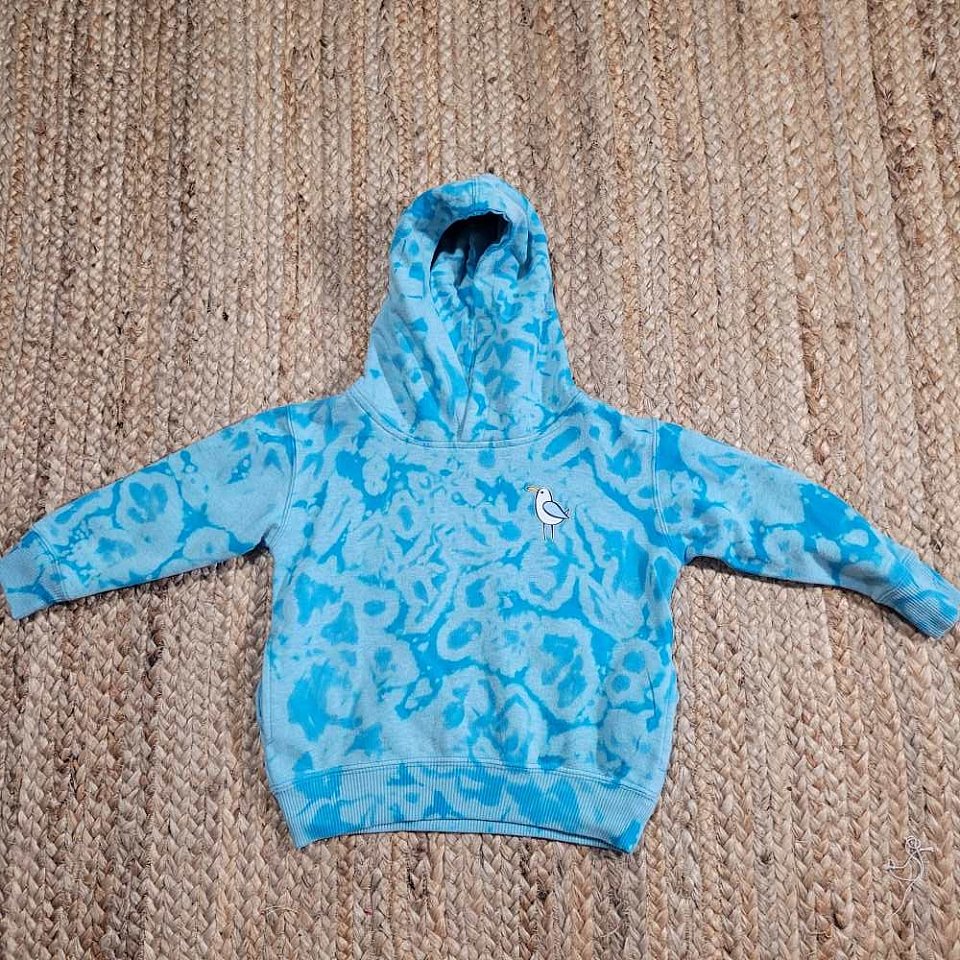2T Turquoise Toddler Hoodie | 1bin2hooda2.jpg