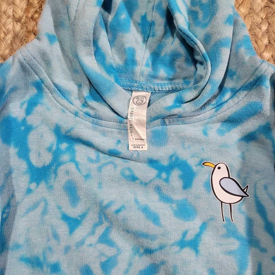 2T Turquoise Toddler Hoodie | 1bin2hoodb2.jpg