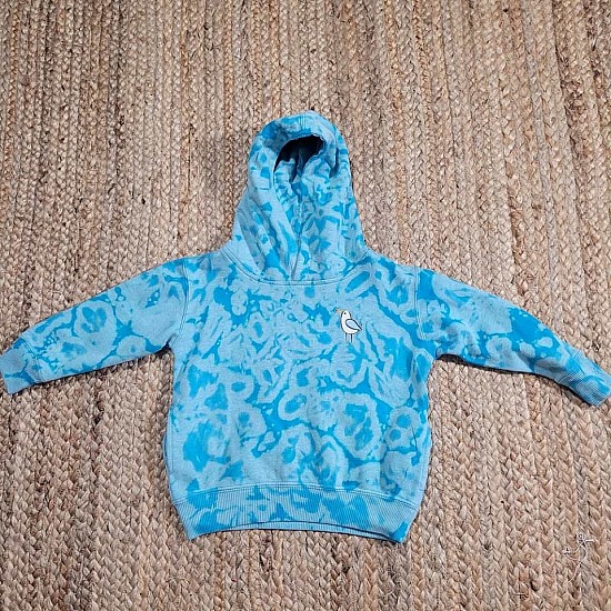 2T Turquoise Toddler Hoodie