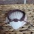 BeachFriendly Stacker ~3/8