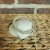 BeachFriendly Stacker ~3/8