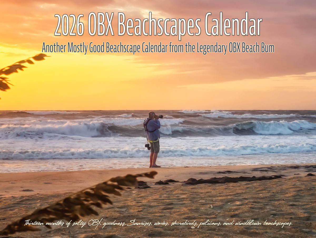 2026 Wall Calendar | 2026-Calendar-cover.jpg