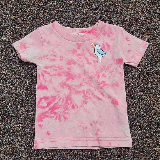Toddler 12 mo. Pink TieDyed Tee