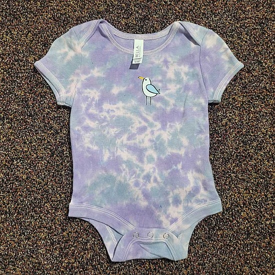 Toddler 18-24mo. Onesie ~Purple/Pink/Blue